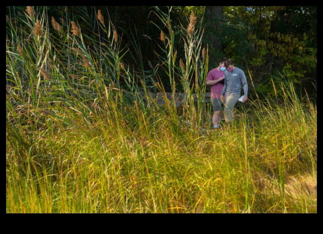 Țărmuri în concentrare: minunate de coastă și de țărm redescoperite
