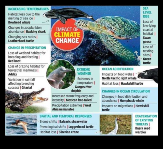 Păsările și schimbările climatice impact asupra migrației și habitatelor 3 Păsările și schimbările climatice: impact asupra migrației și habitatelor