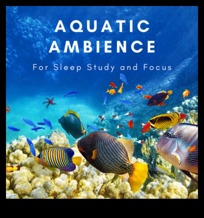 Fish Tank Zen a continuat: sunete liniștitoare și muzică pentru fericire acvatică