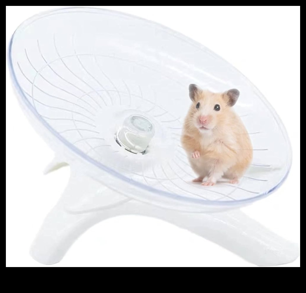 Hamster Whirlwind: Distracție învârtită pentru hamsteri activi