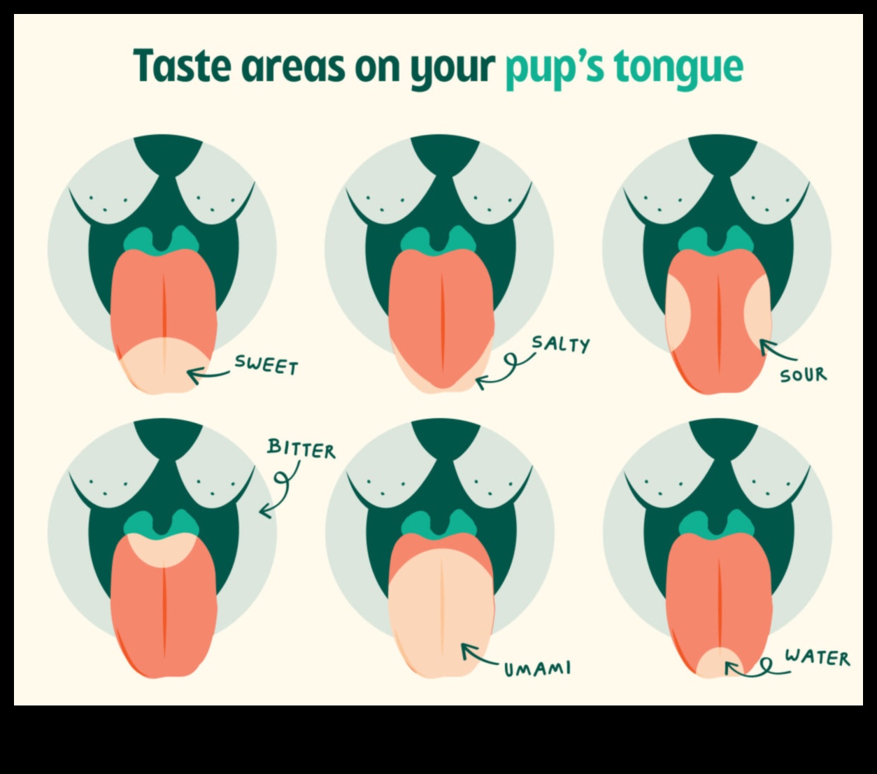 DOURTICE DOGGY care explorează preferințele gustului canin 3 Doggy Drumsticks: Explorarea preferințelor gustului canin