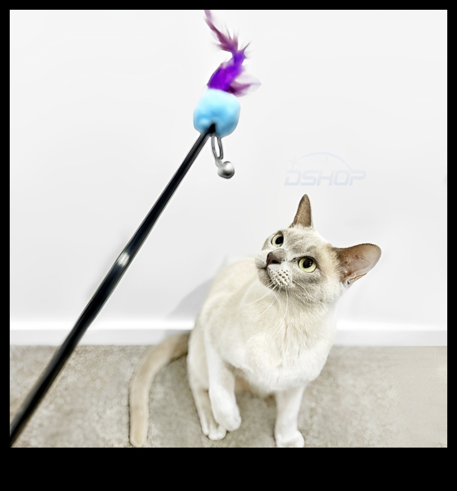 Feline Pene Frenzy: Jucării interactive cu pene pentru pisici