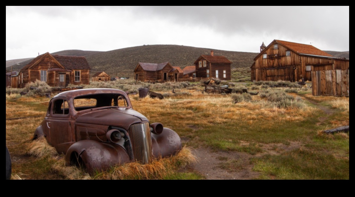 Ruins Reclamat: preluarea naturii în peisaje abandonate