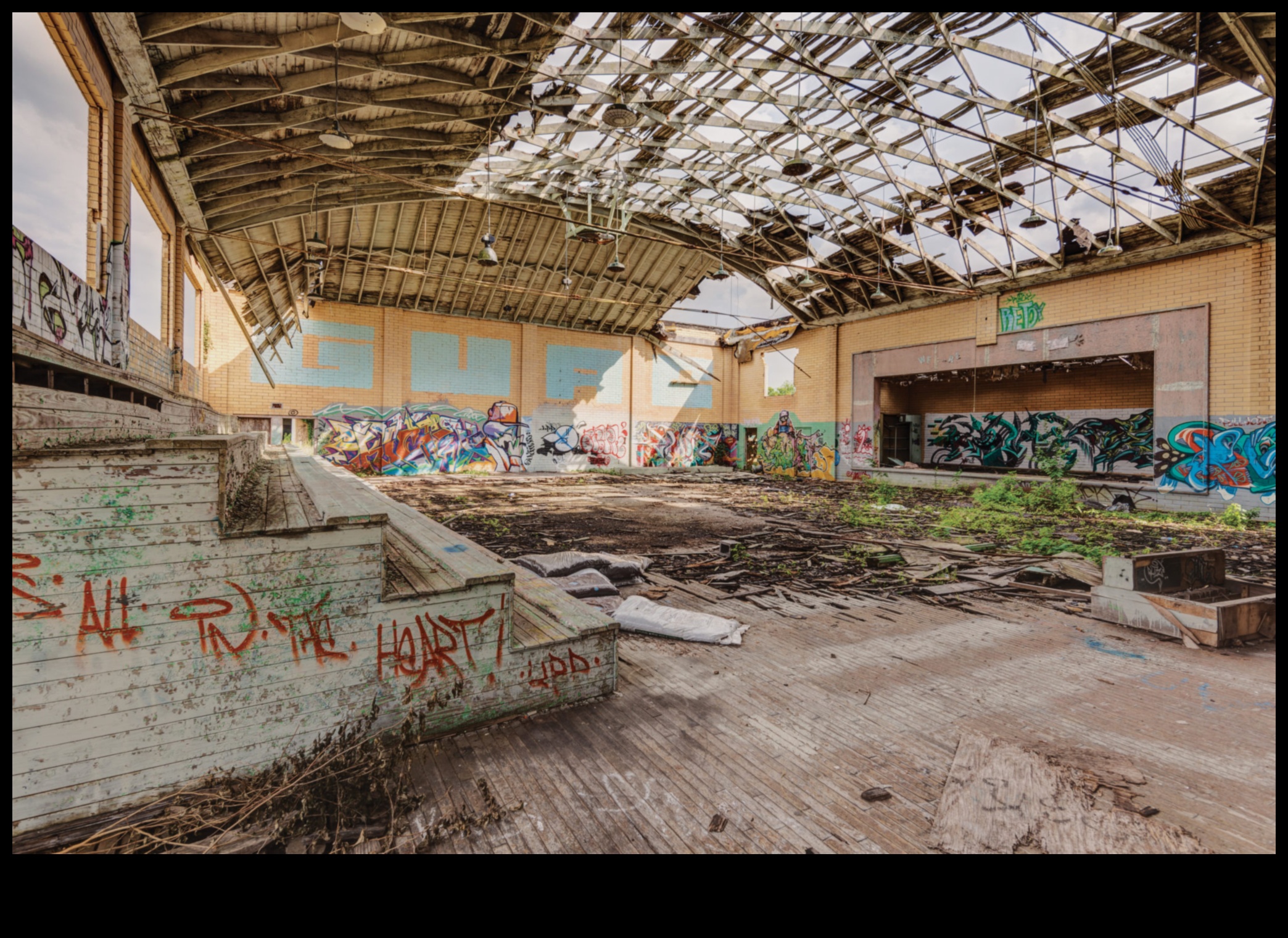 Ruins Reclamat: preluarea naturii în peisaje abandonate