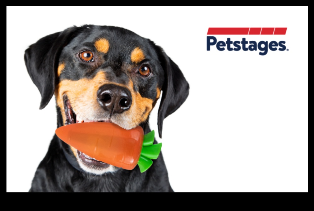 Crunch de morcovi canini: jocuri sănătoase de gustare pentru câini