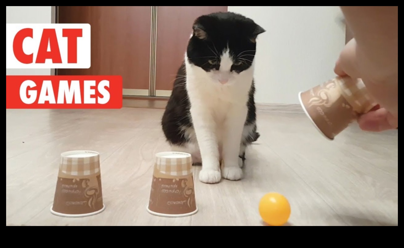 Feline Frolics: jocuri hilare pentru pisici jucăușe
