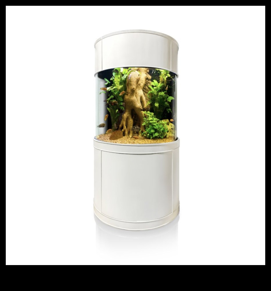 Aqua Accesorii Alcove: Crearea unui colț elegant în rezervorul dvs. de pește