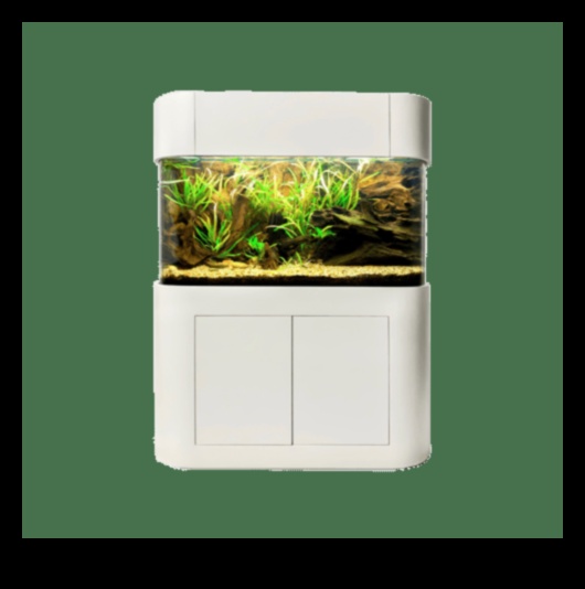 Aqua Accesorii Alcove: Crearea unui colț elegant în rezervorul dvs. de pește