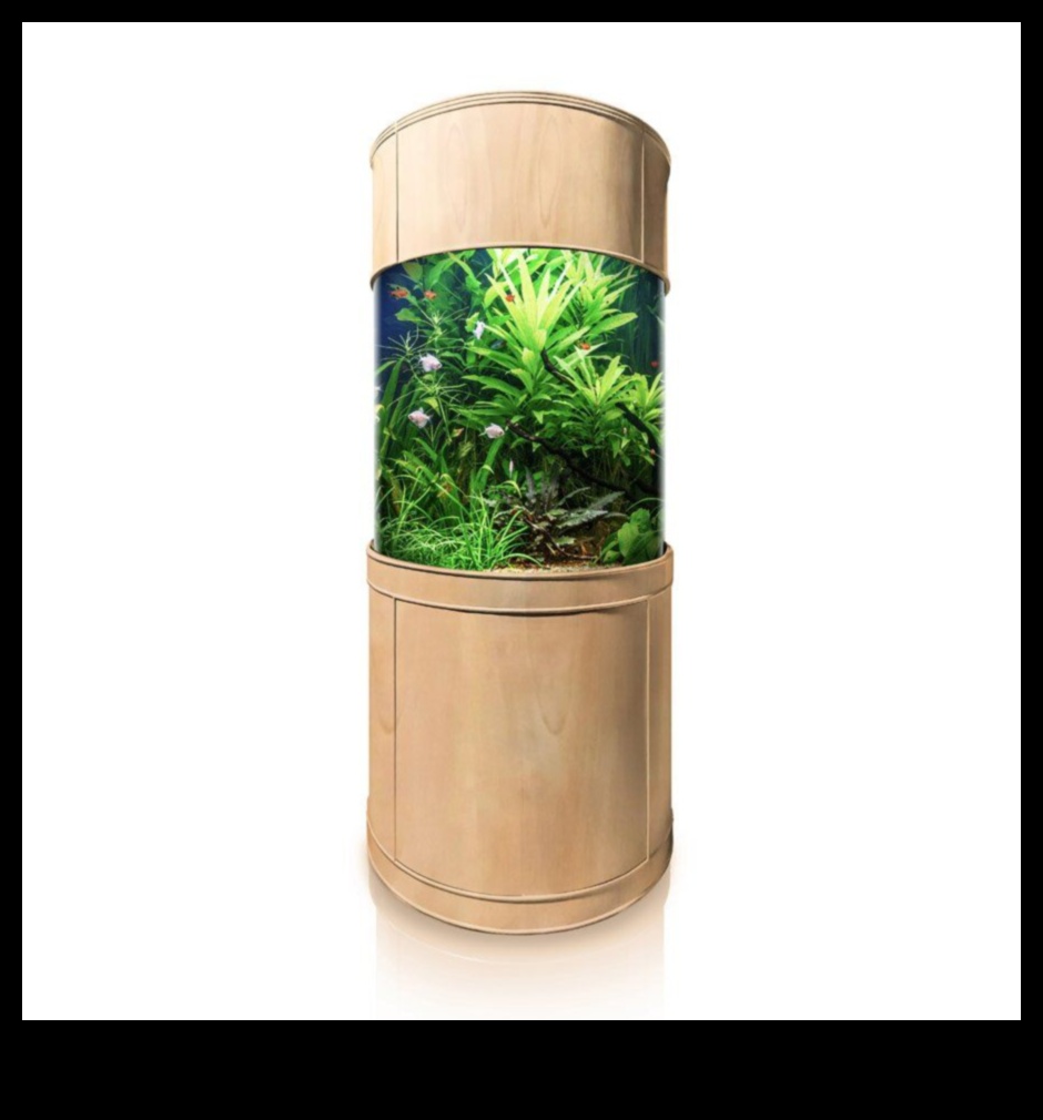 Aqua Accesorii Alcove: Crearea unui colț elegant în rezervorul dvs. de pește