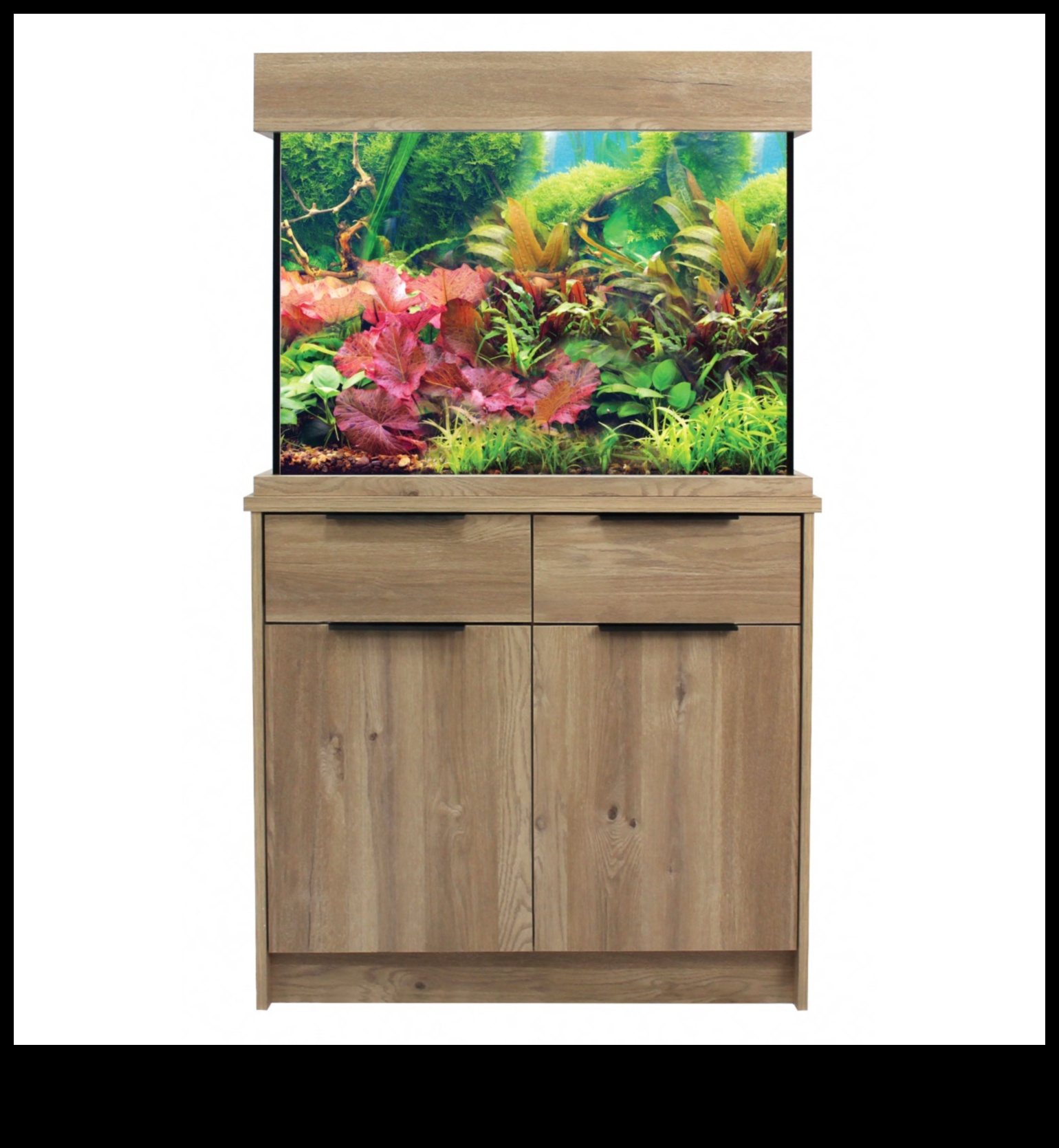 Aqua Accesorii Alcove: Crearea unui colț elegant în rezervorul dvs. de pește