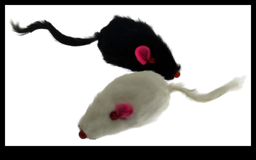 Mousey Mischief: jocuri distractive pentru rozătoare mici