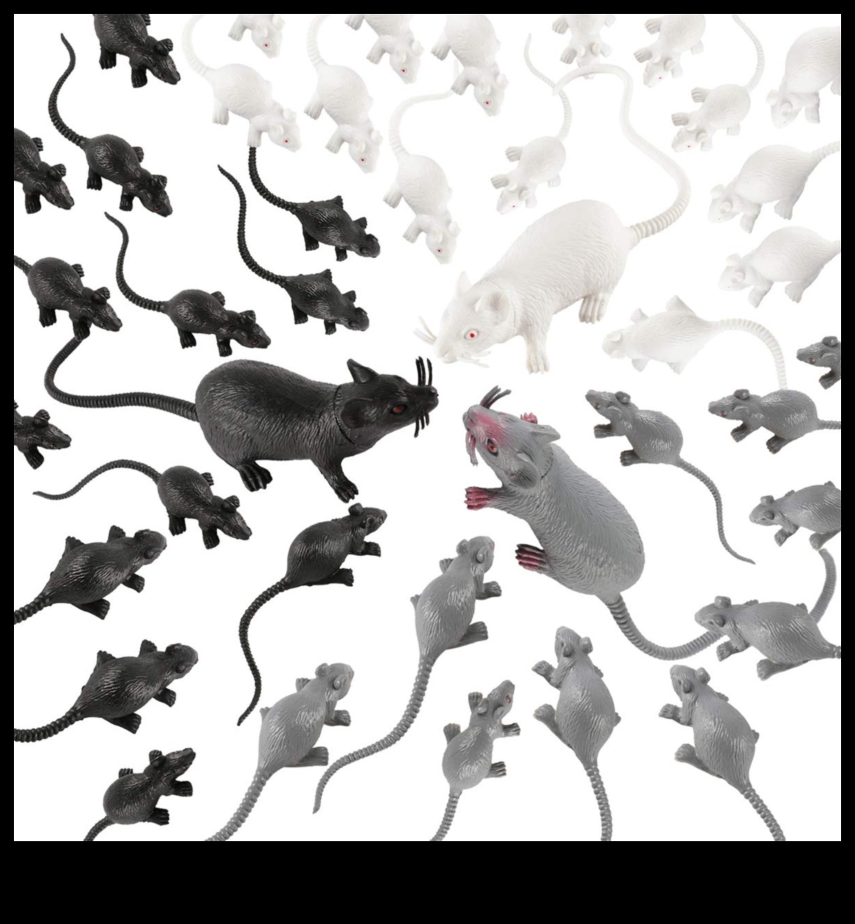 Mousey Mischief: jocuri distractive pentru rozătoare mici