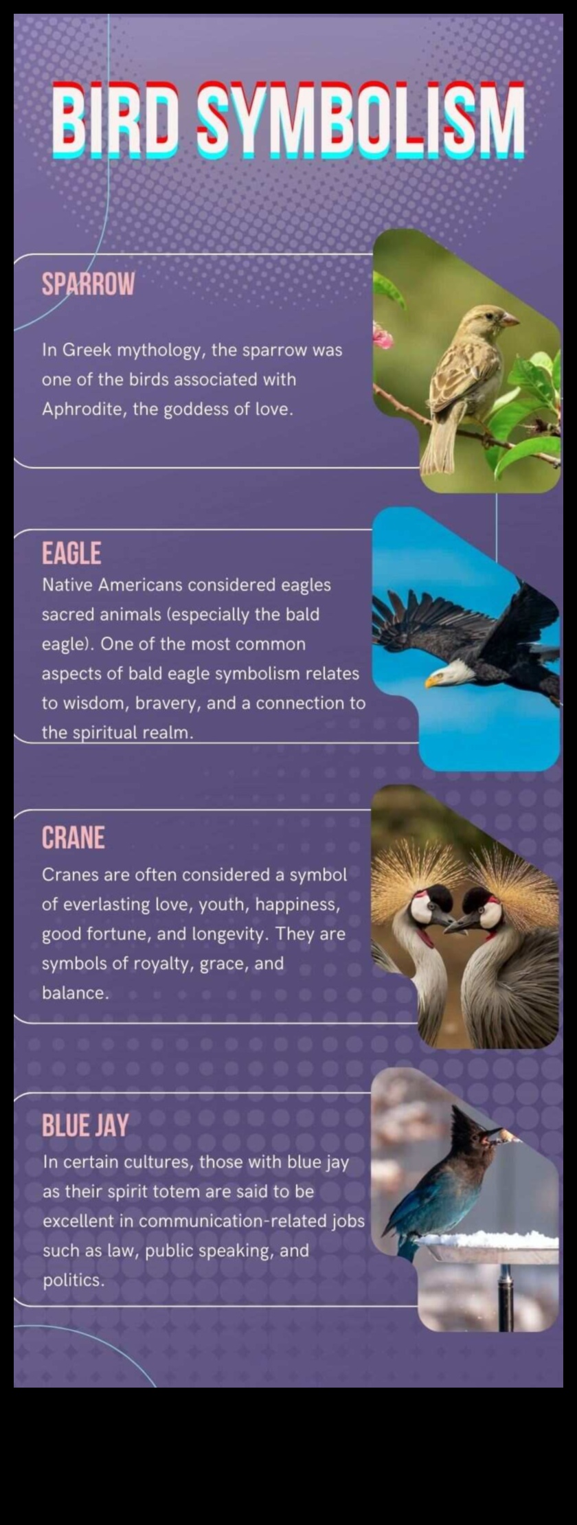 Păsări și culturi indigene: simbolism și semnificație spirituală