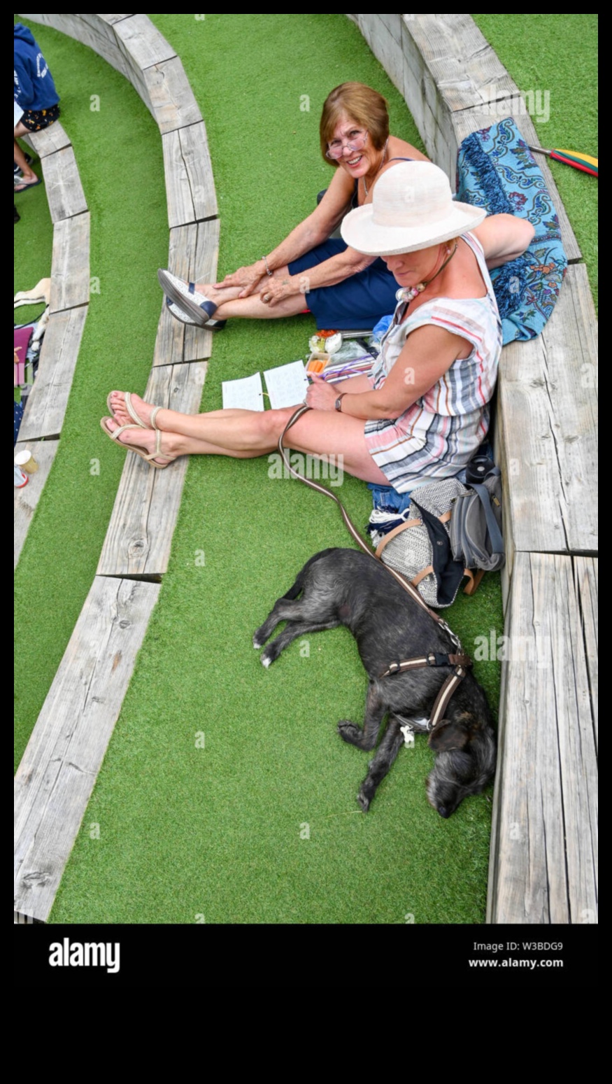 DOGGY DISCO: Distracție de dans pentru câini și proprietari