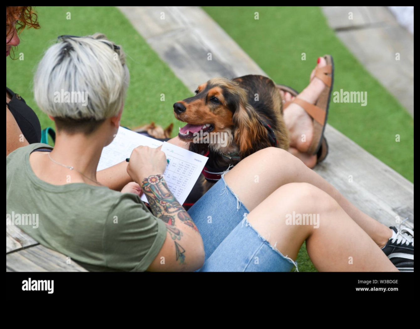 DOGGY DISCO: Distracție de dans pentru câini și proprietari