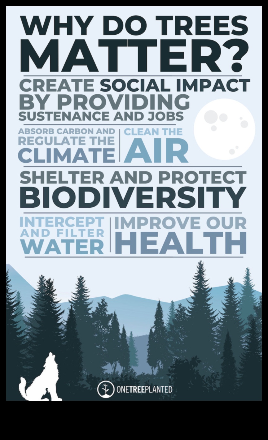 Arbori piloni ai biodiversității 2 Cum contribuie diferite specii de arbori la biodiversitatea peisajelor?