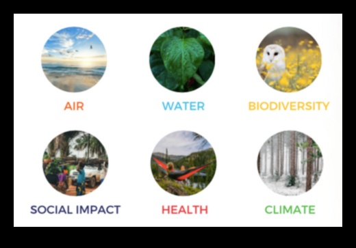 Arbori piloni ai biodiversității 5 Cum contribuie diferite specii de arbori la biodiversitatea peisajelor?