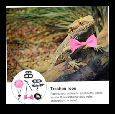 Reptile Regalia: Îmbrăcați -vă însoțitorul la scară