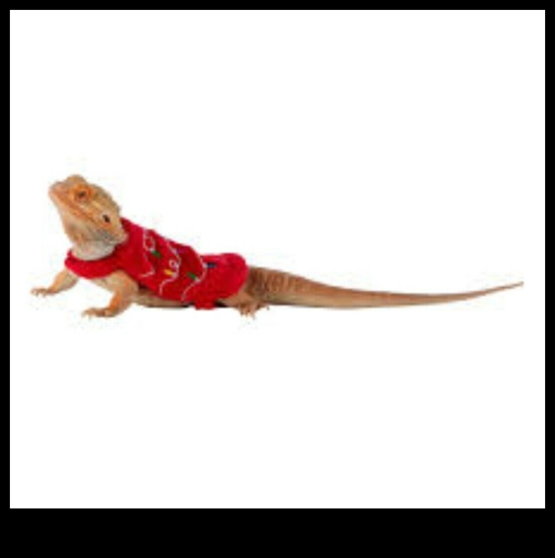 Reptile Regalia: Îmbrăcați -vă însoțitorul la scară