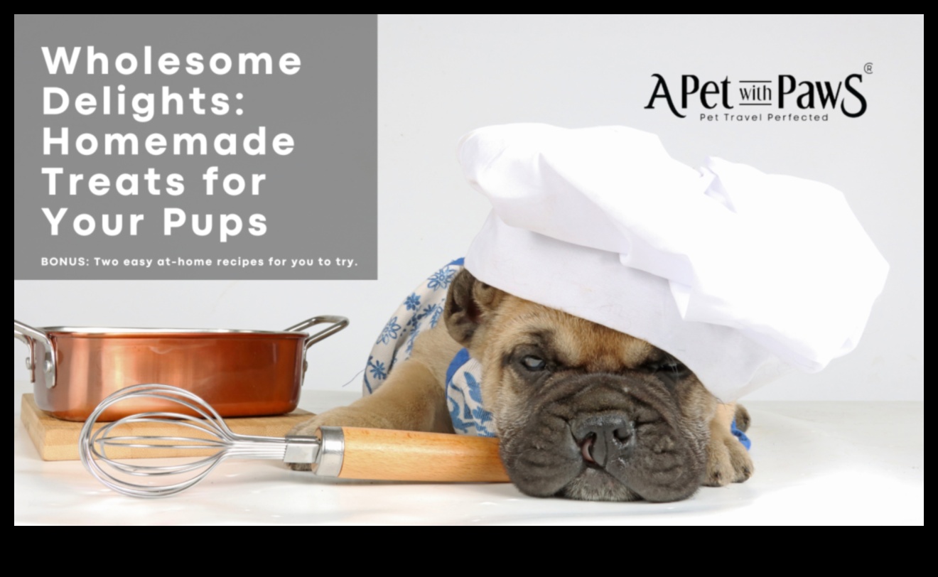 Doggy Delights Rețete de tratare de casă Puiul tău va iubi 5 Delici doggy: rețete de tratare de casă pe care le va plăcea puiul tău