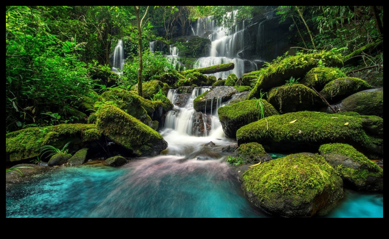 Cascading Elegance II: noi perspective asupra cascadelor și a cascadelor