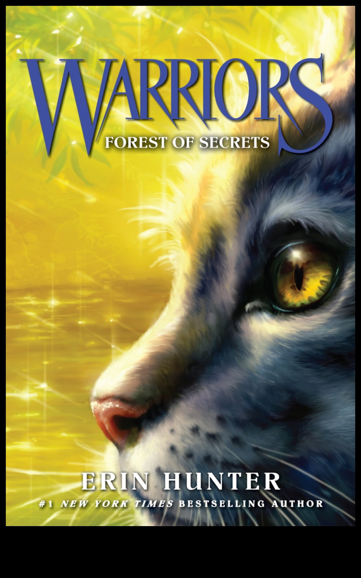 Canopii de șoaptă: mistica scenelor pădurilor și pădurilor