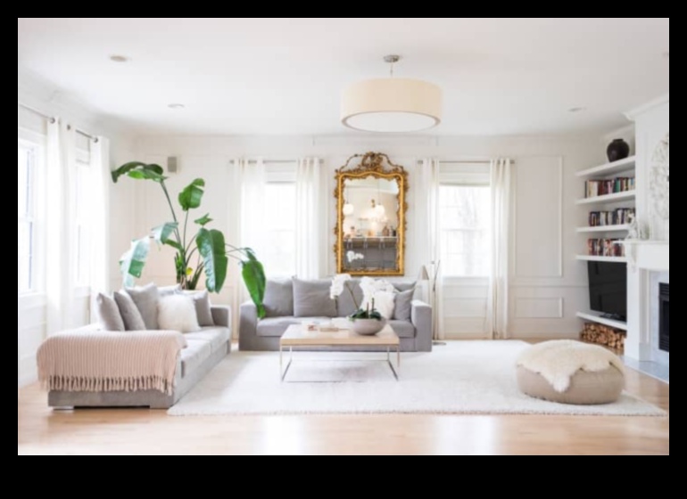 Cum pot decora conceptele de decorare să îmbunătățească estetica casei tale?