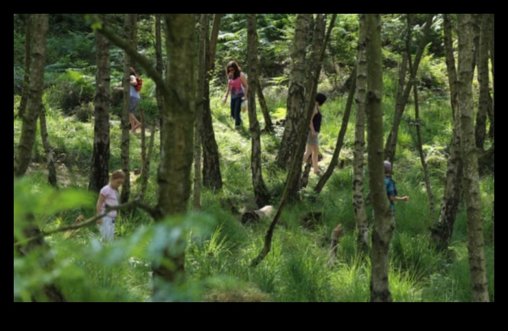 Simfonia naturii: captarea peisajelor armonioase în pixeli