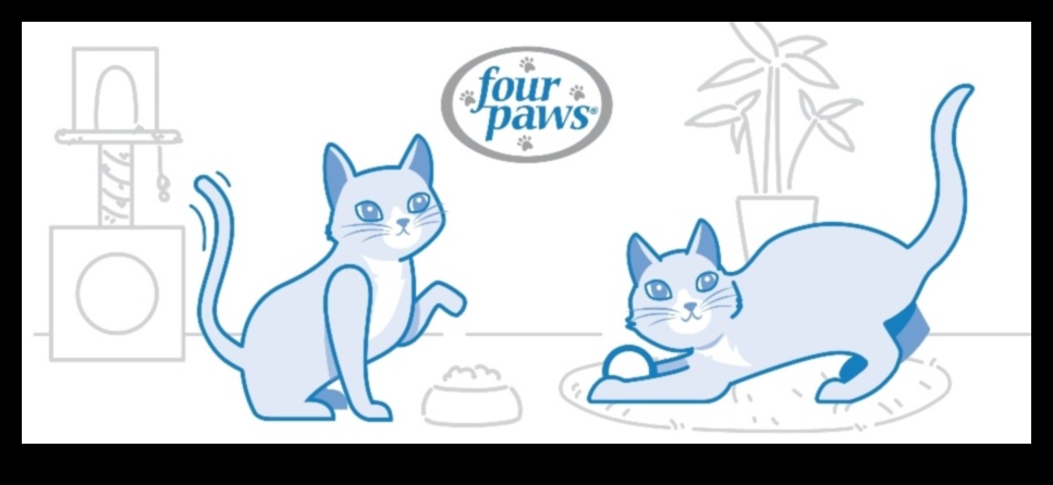 Limbajul gunoiului a continuat să decodeze comportamentele de baie pentru pisici 2 Limbajul gunoiului a continuat: decodarea comportamentelor de baie pentru pisici