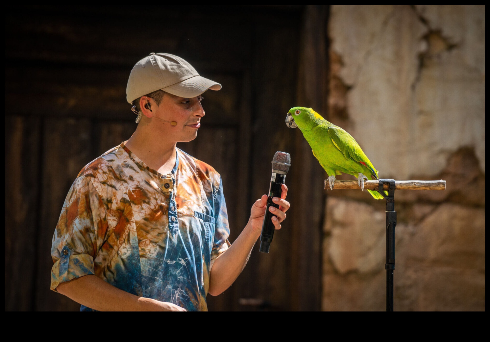 Fiesta prietenilor cu pene care sărbătorește cu păsările pentru animale de companie 2 Fiesta prietenilor cu pene: sărbătorirea cu păsări pentru animale de companie