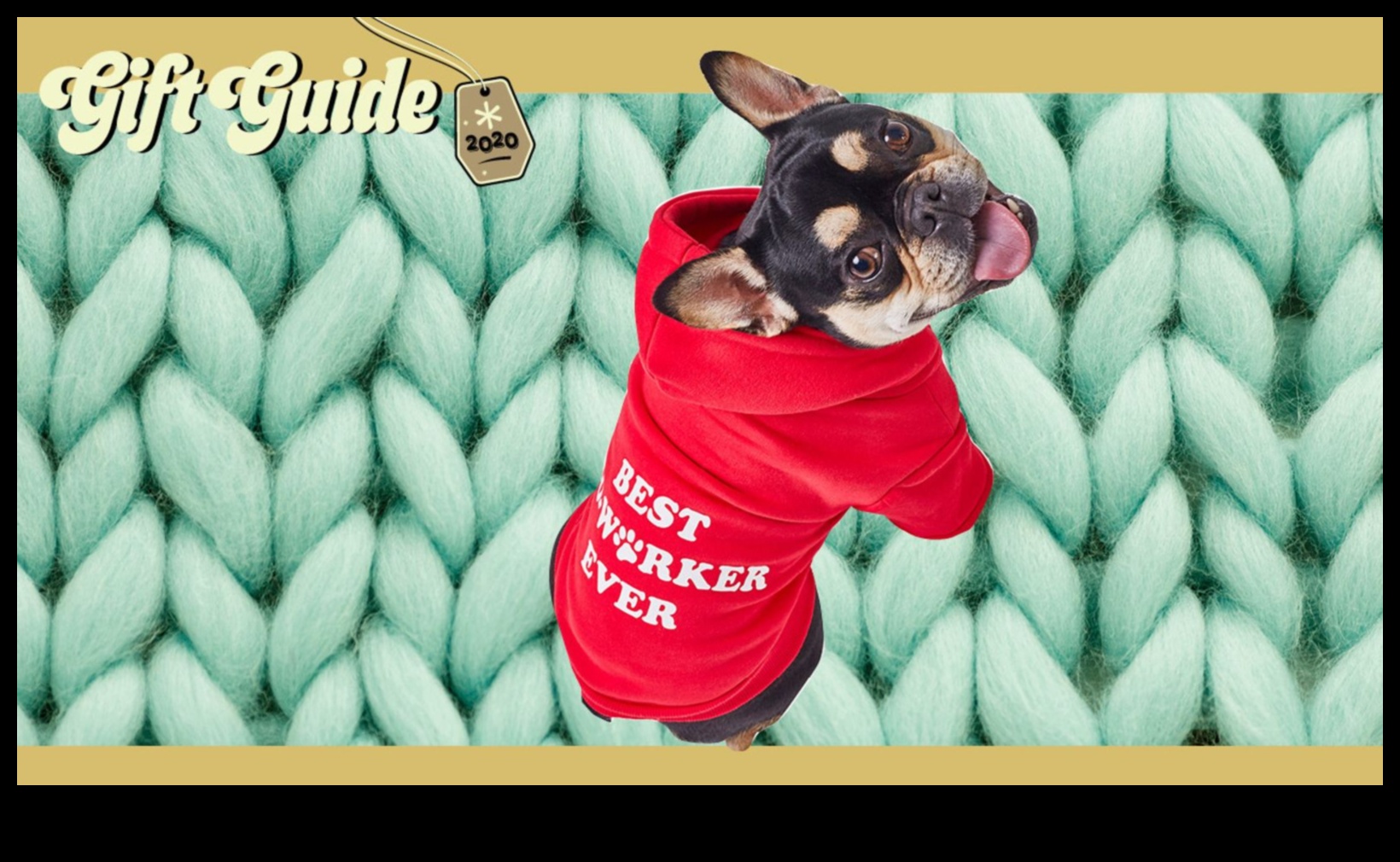 Furry Friends Fiesta: Cadouri pentru iubitorii de animale de companie și tovarășii lor