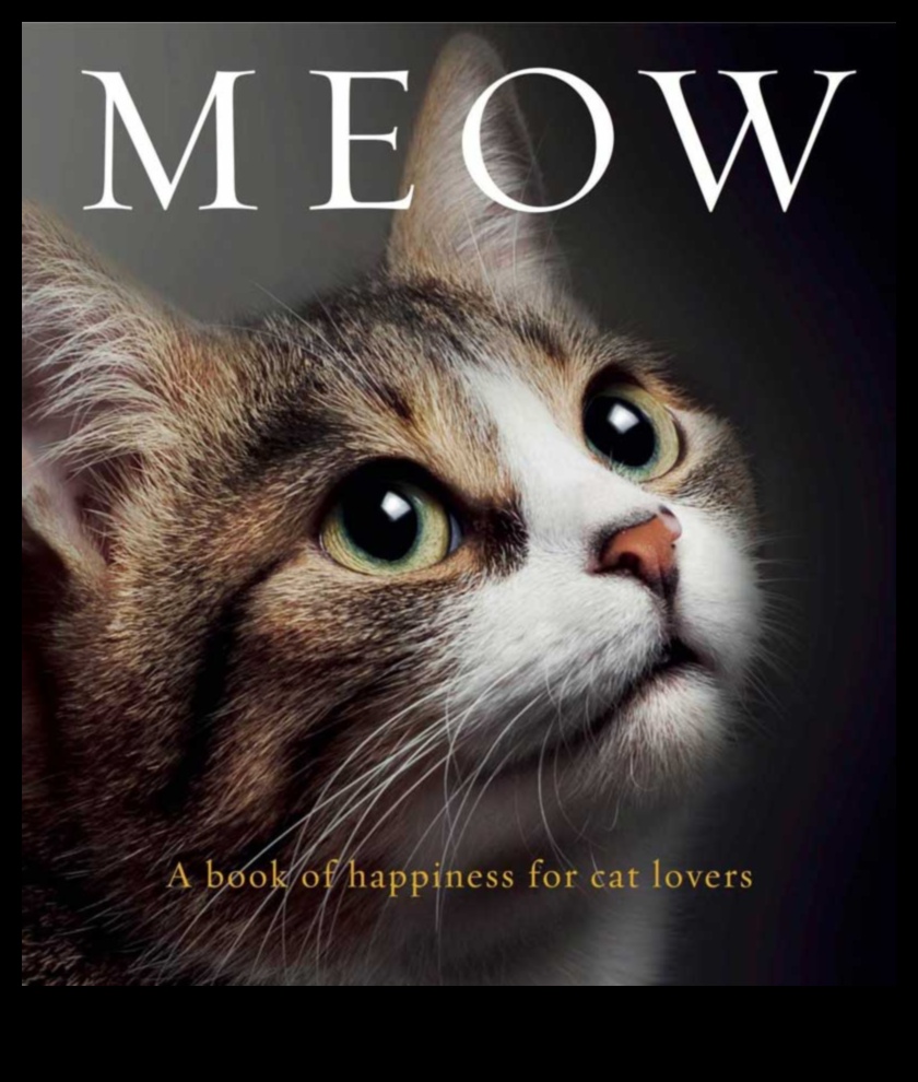 Motivația Meow Mențineți pisica dvs. fericită și conținutul 5 Motivația Meow: păstrarea pisicii tale fericită și conținut