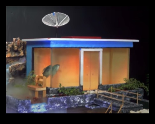 Rezervor de pește DIY: decor și accesorii pentru acvarii