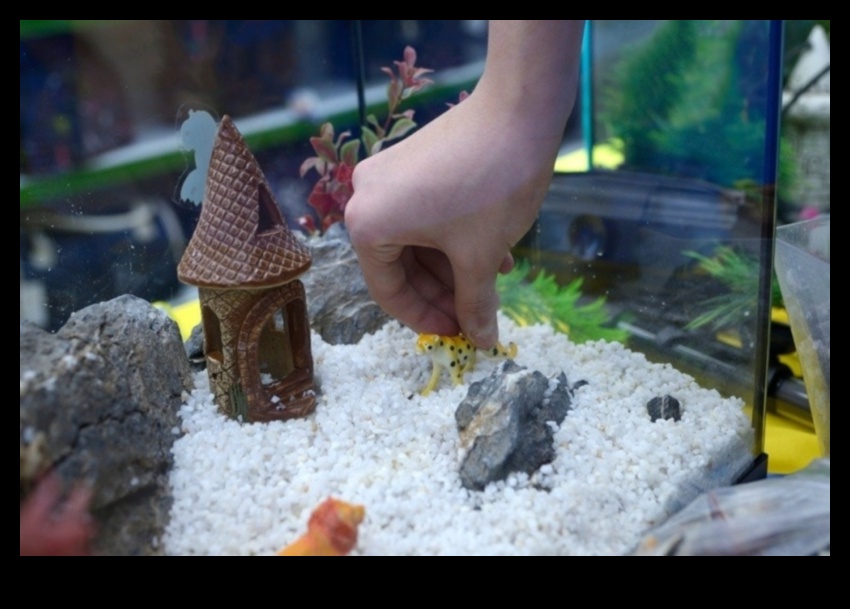 Rezervor de pește DIY: decor și accesorii pentru acvarii