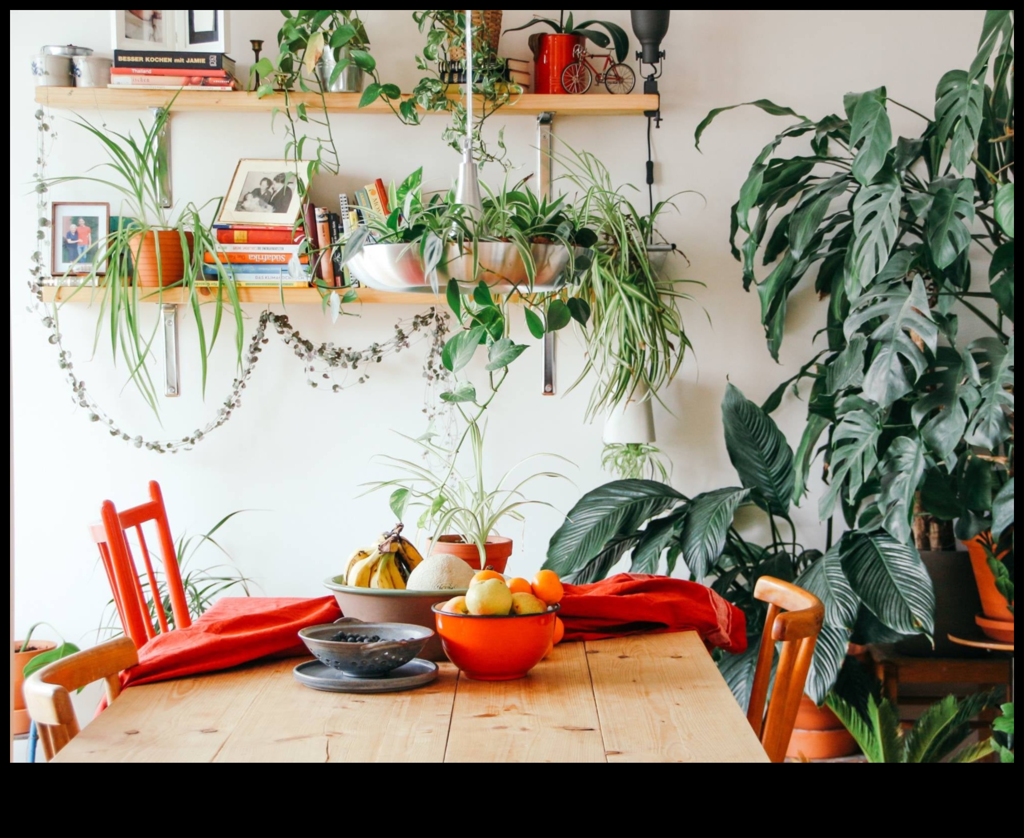 5 concepte de decorare inspirate de natură pentru o atmosferă calmantă