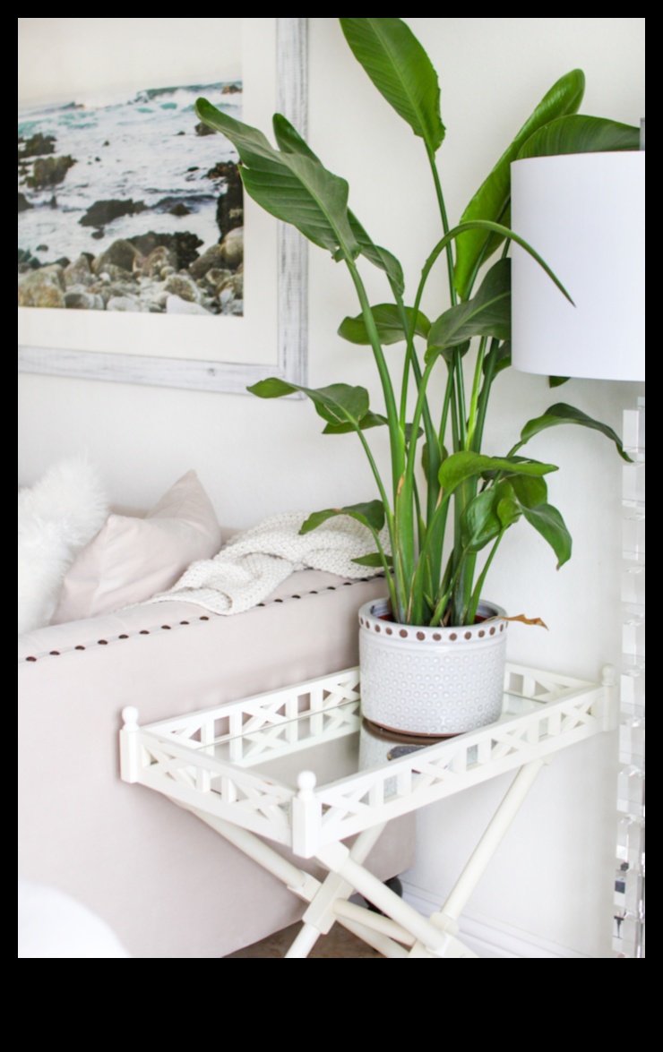 Simplificarea decorării: sfaturi și trucuri esențiale