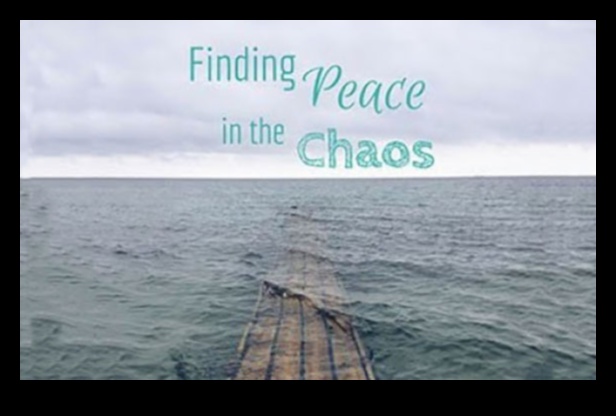 Găsirea seninătății în haosul 2 Momente senine: o colecție de peisaje calmante și frumoase