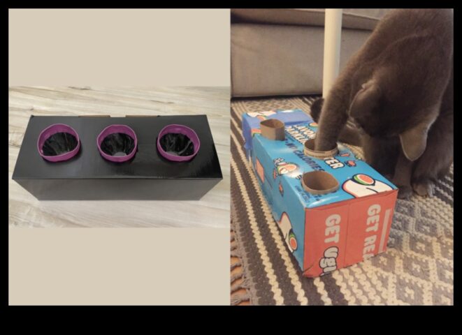 Activități de stimulare a îmbogățirii pisicii de bricolaj pentru o pisică fericită