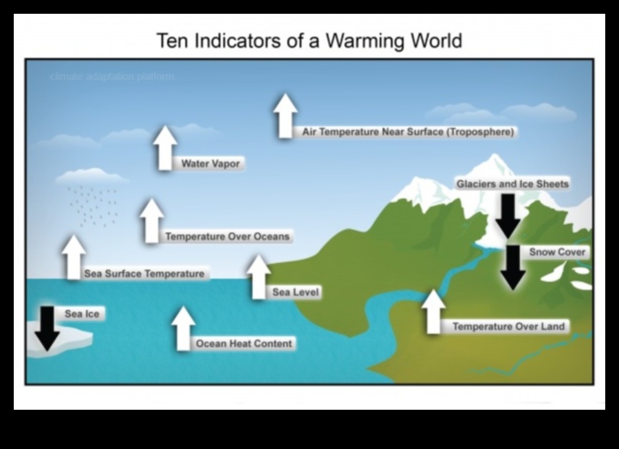 Rezistența climatică: modul în care peisajele răspund la schimbările globale