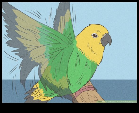 Comportamentul păsărilor a decodat Vocalizările și limbajul corpului