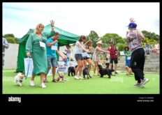 Doggy Disco Dancing Fun pentru câini și proprietari