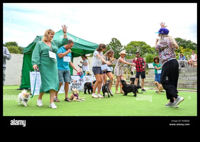 Doggy Disco Dancing Fun pentru câini și proprietari