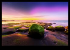 Editarea fotografiei DIY 10 stiluri creative pentru a încerca